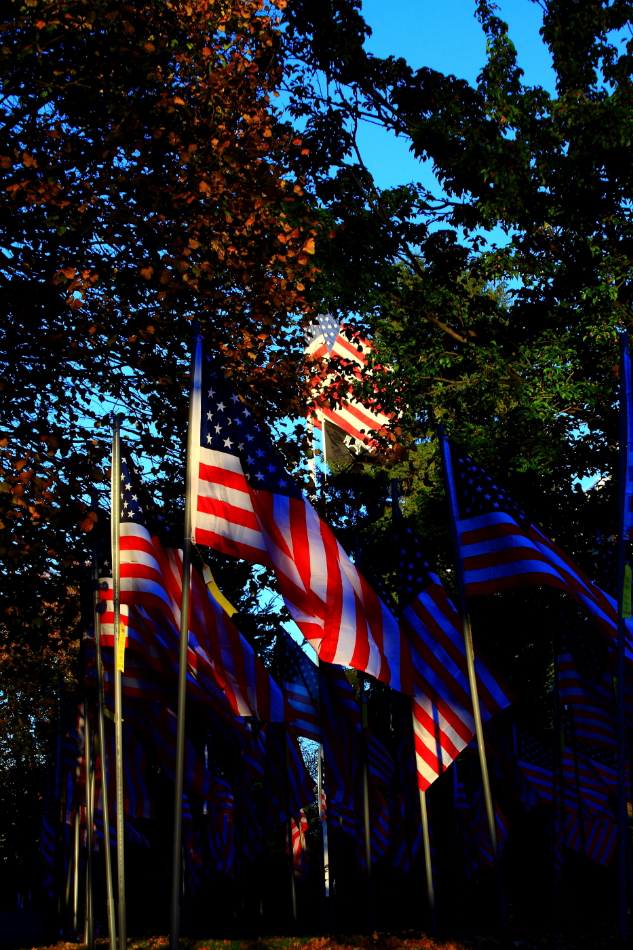 2010 11 01 IMG 14425e